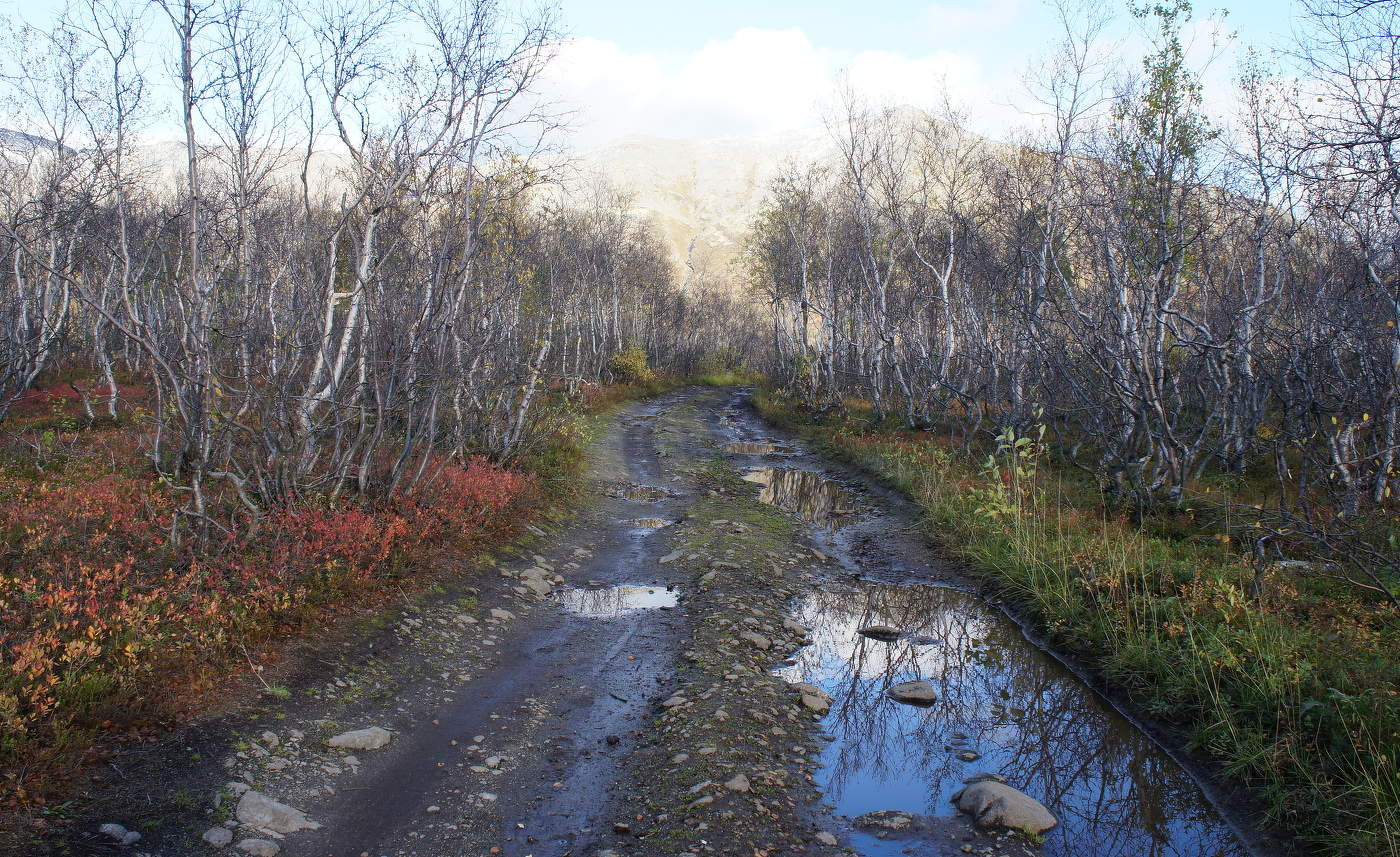 Нескучная дорога