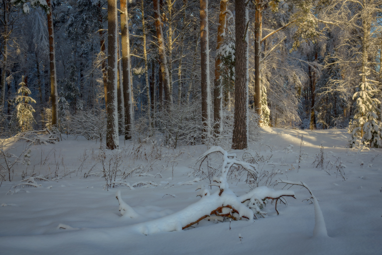 Там, на неведанных...