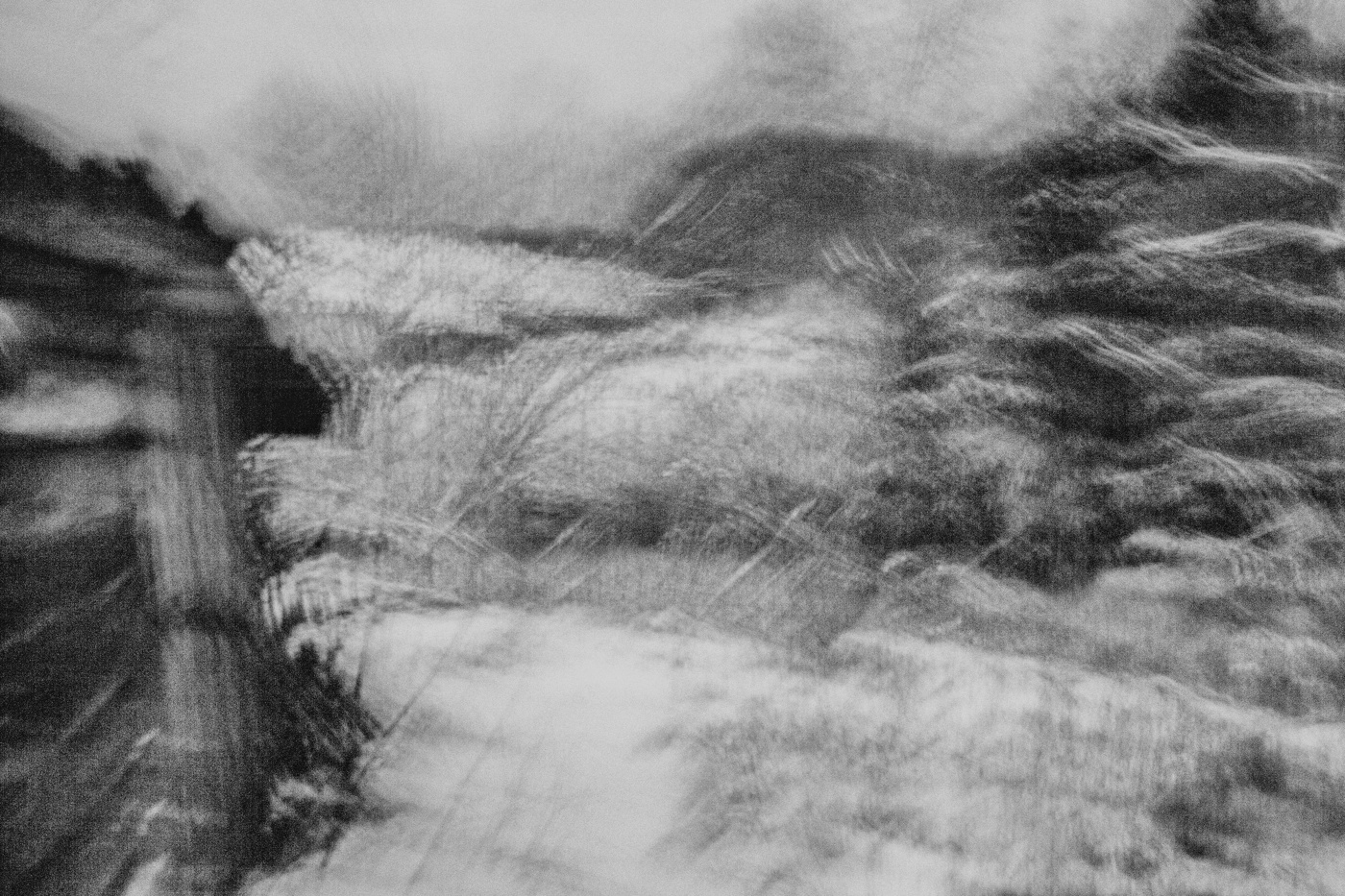 Жизнь вокруг