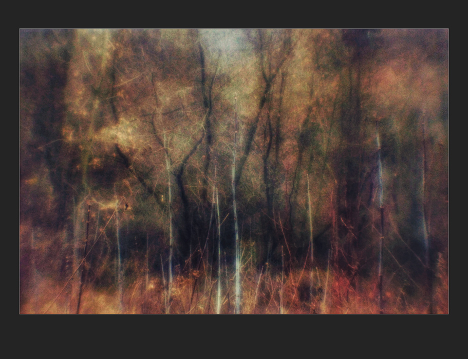 В глубине запущенного сада