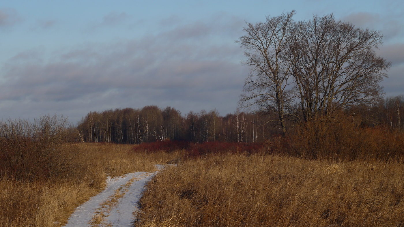 Странный декабрь.
