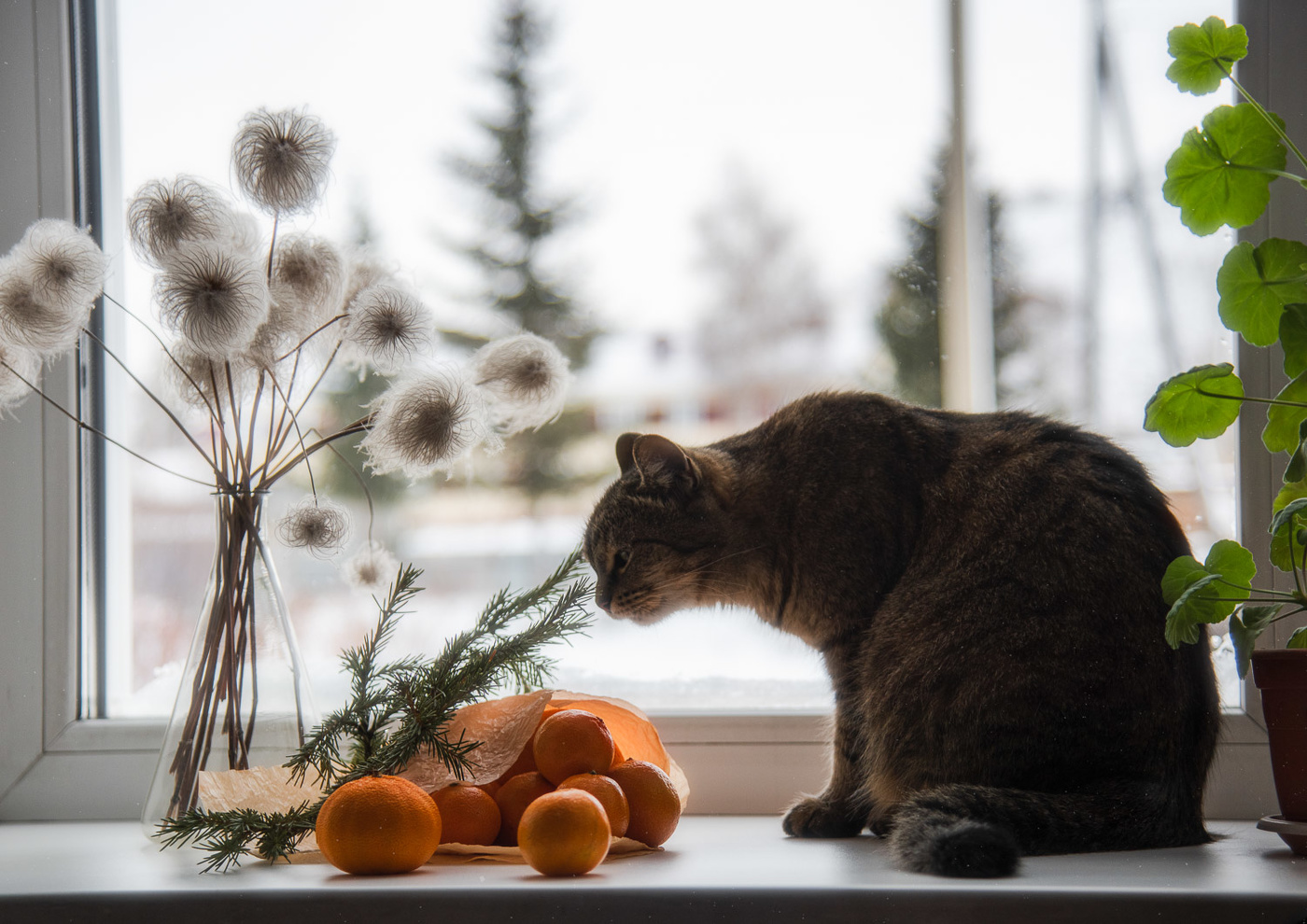 Новым годом пахнет...
