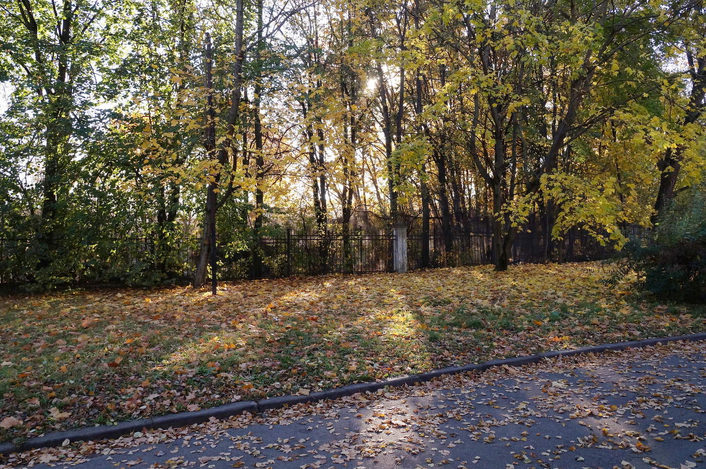 Недавняя осень