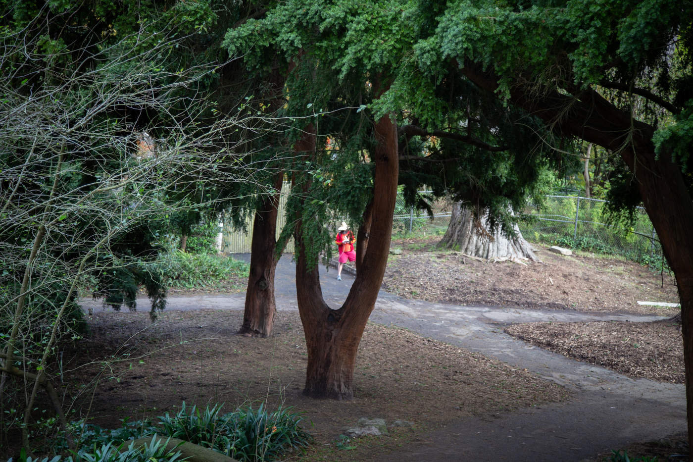 В парке Golden Gate