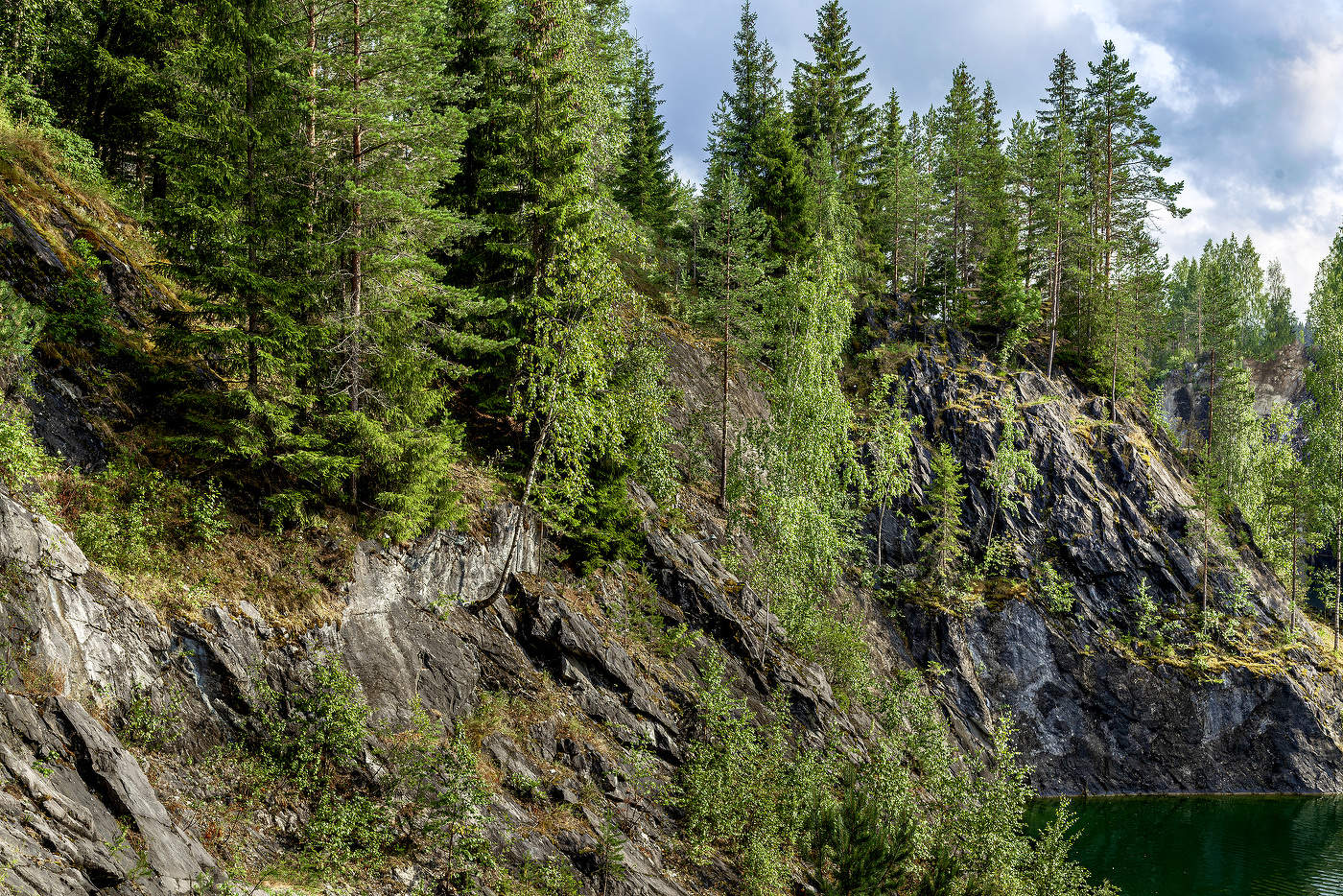 И на камнях растут деревья