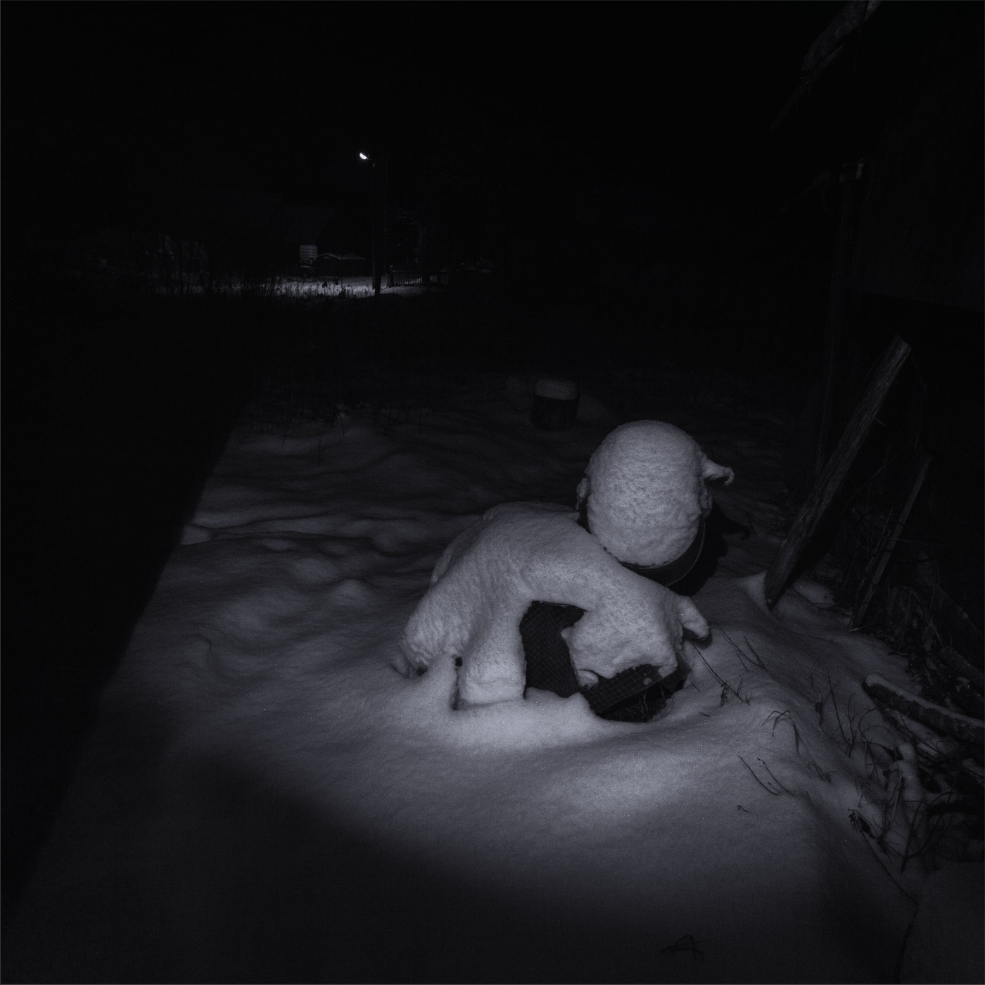 Жизнь вокруг