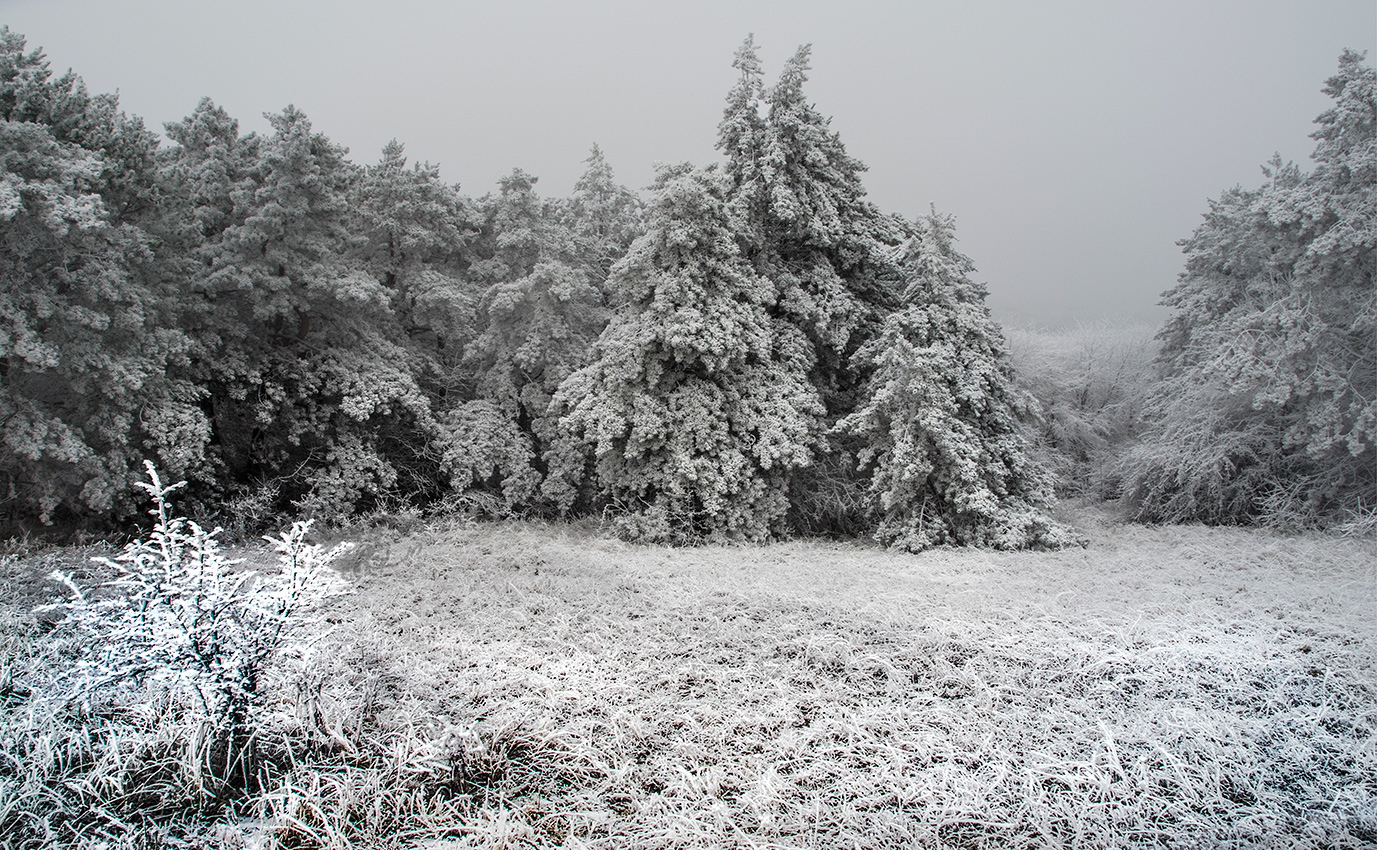 Морозная дымка