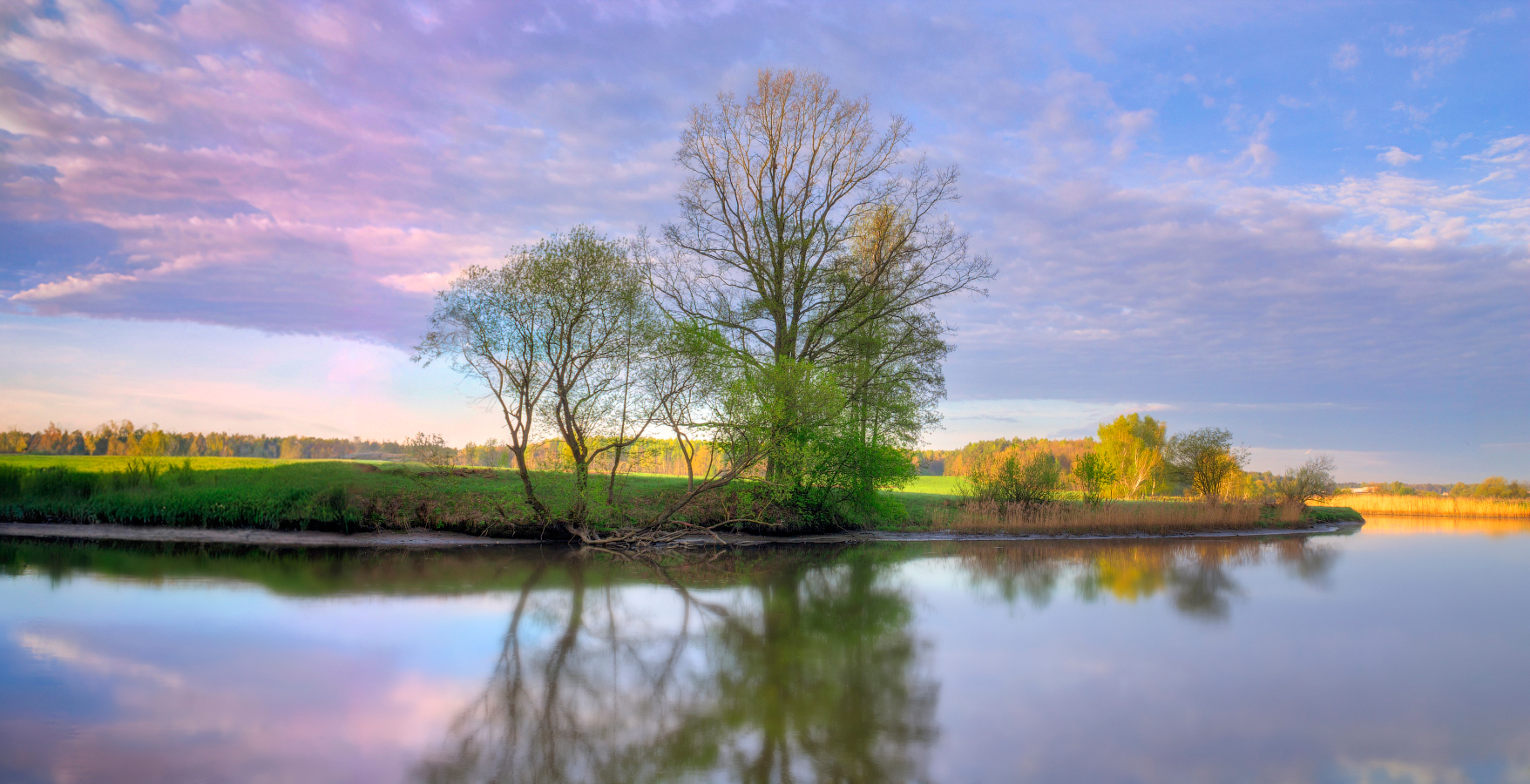 Весеннее утро
