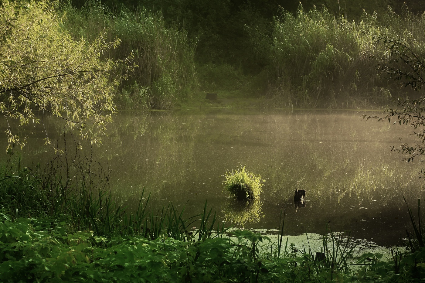 Клёвое место