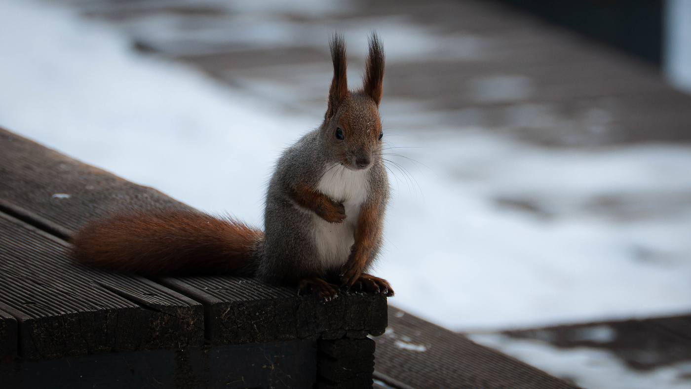Я иду к Вам... Ждете?