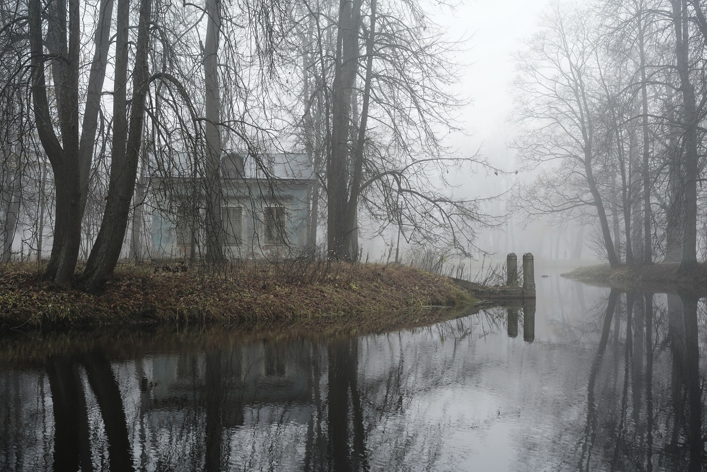 Утро в ноябре