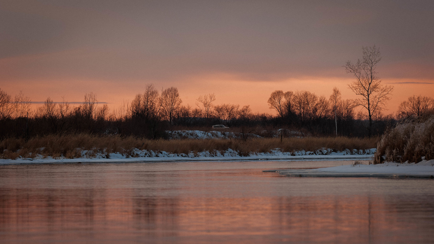 Моей души очарованье!.