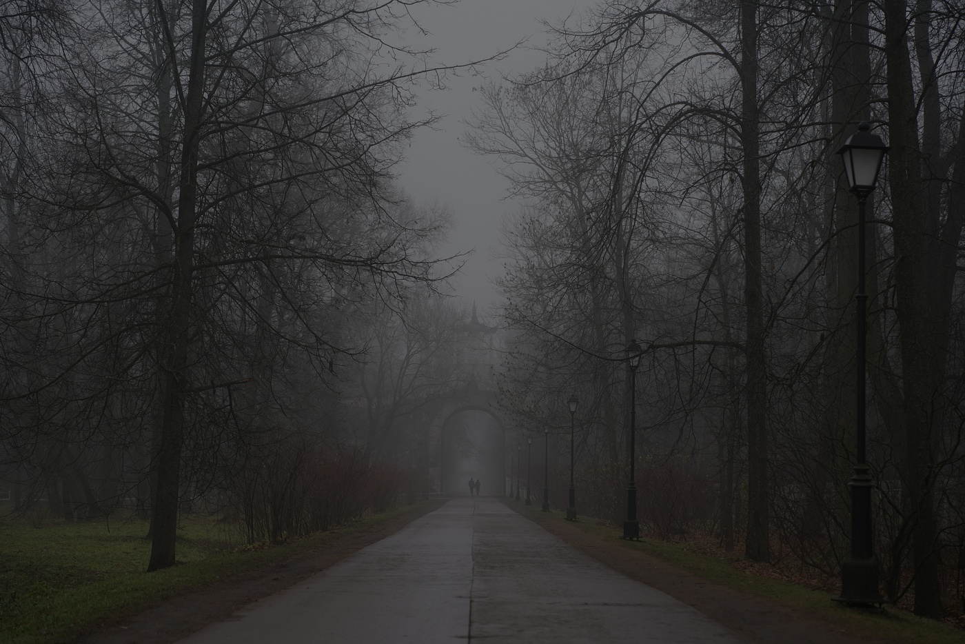 Прогулка в ноябре