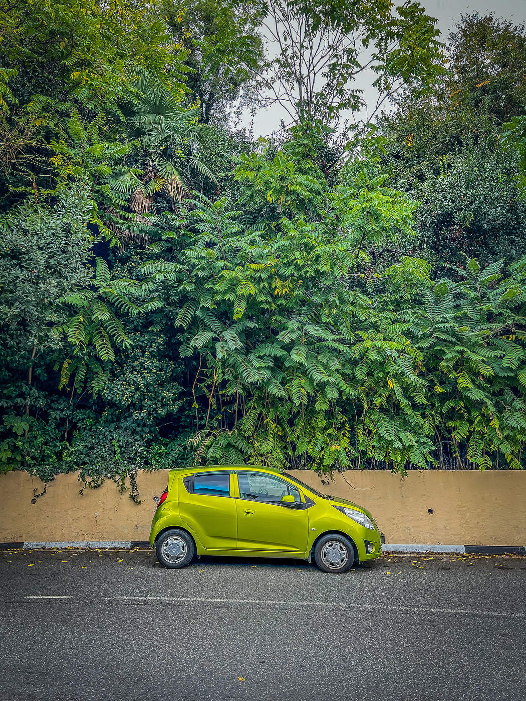 Зелёный автомобиль