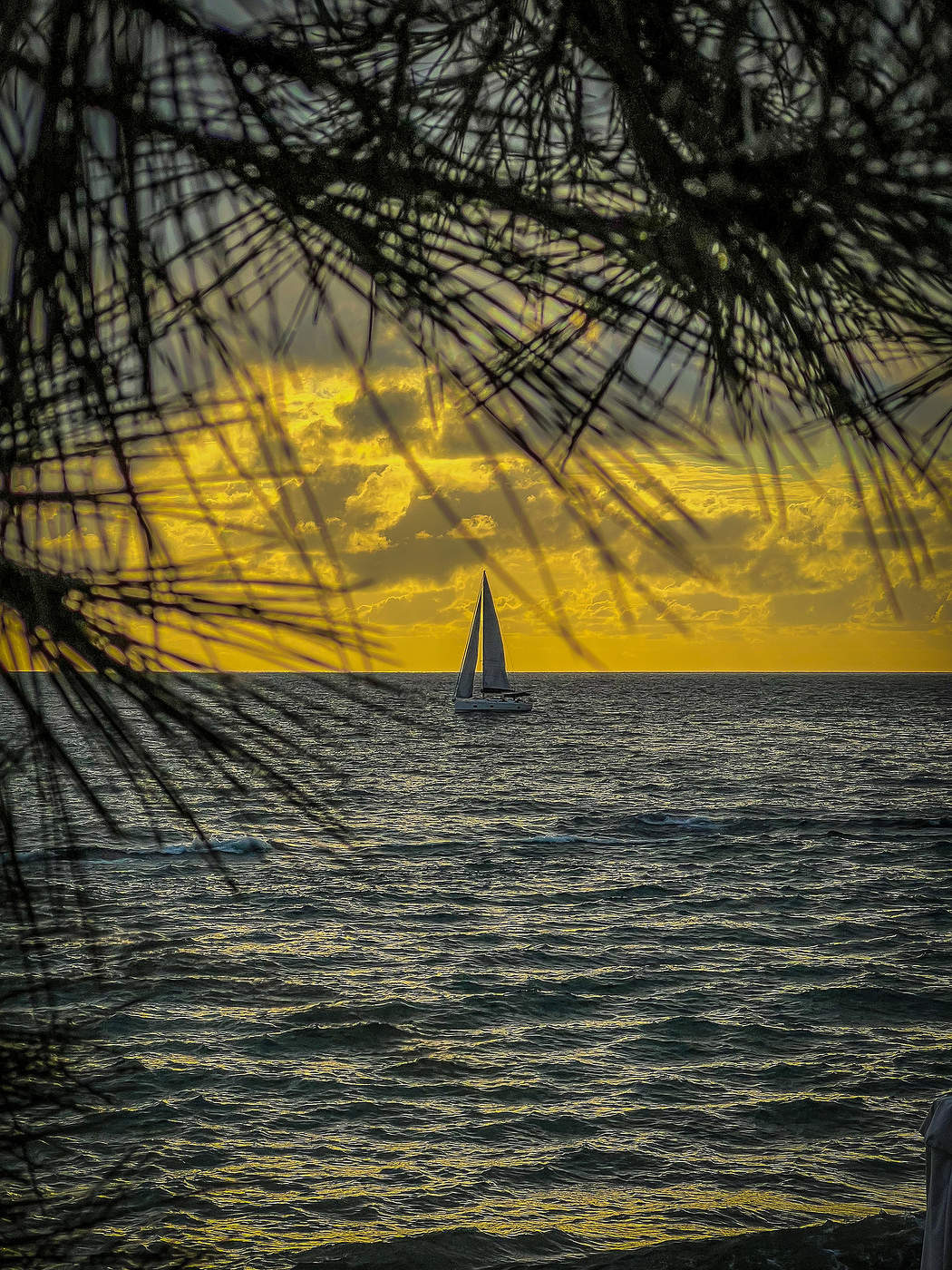 Парусник на закате