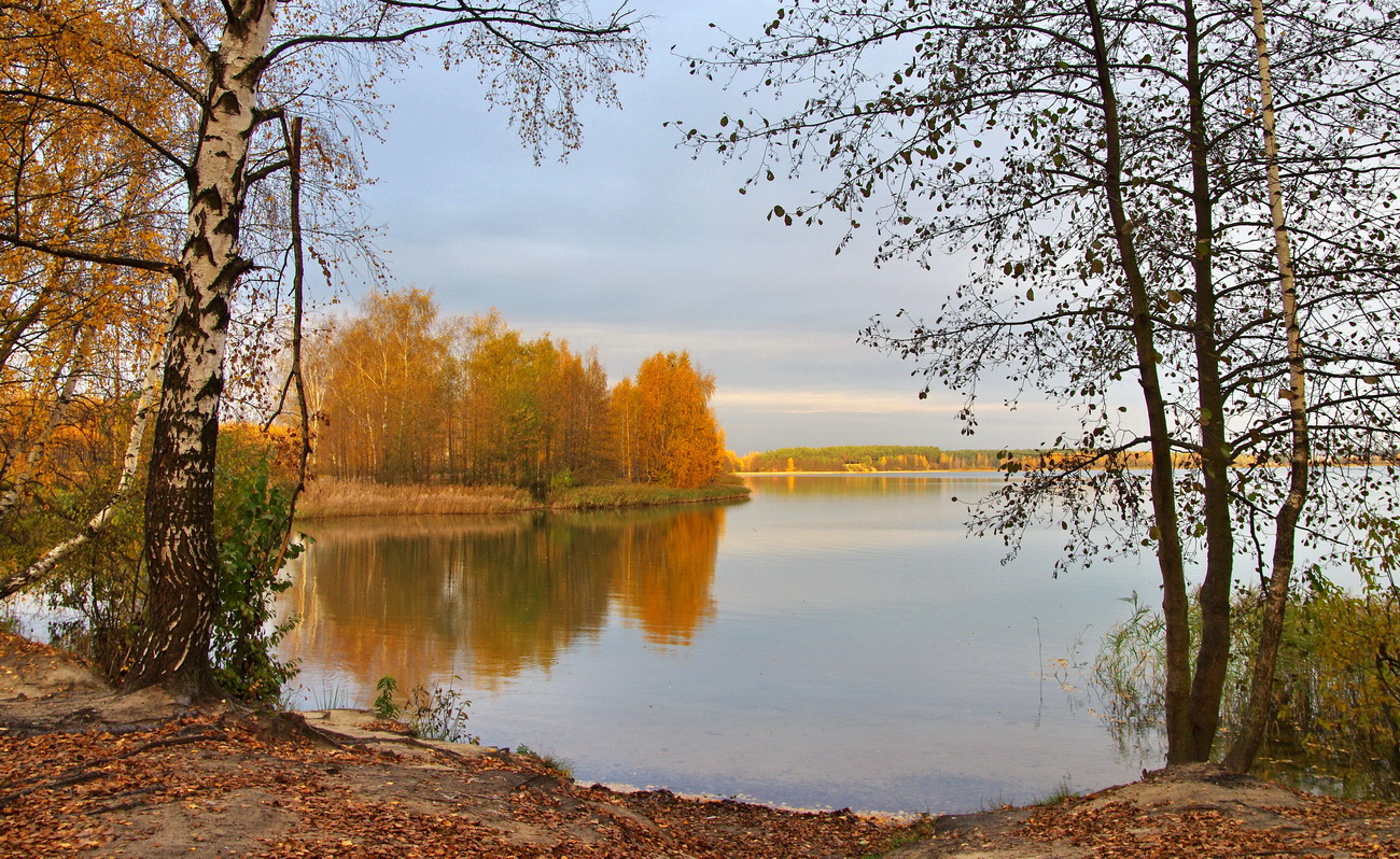 Золотая осень