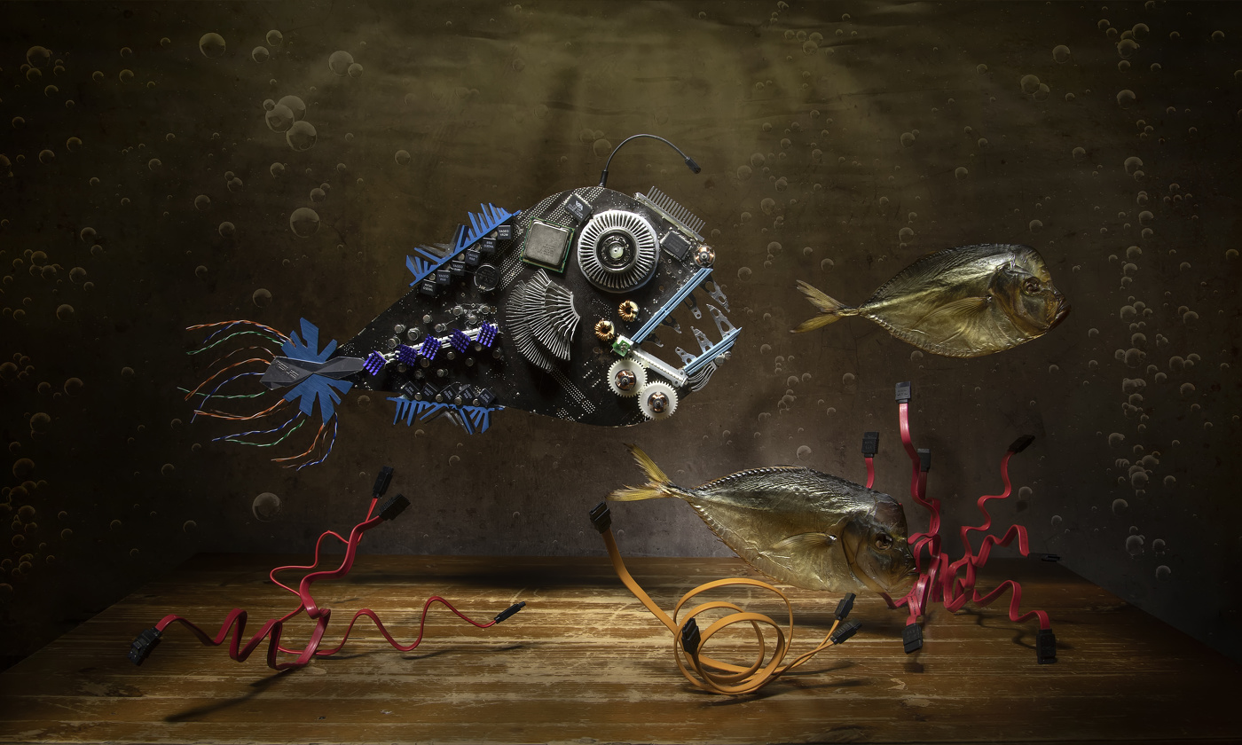 Рыбки бывают разные...