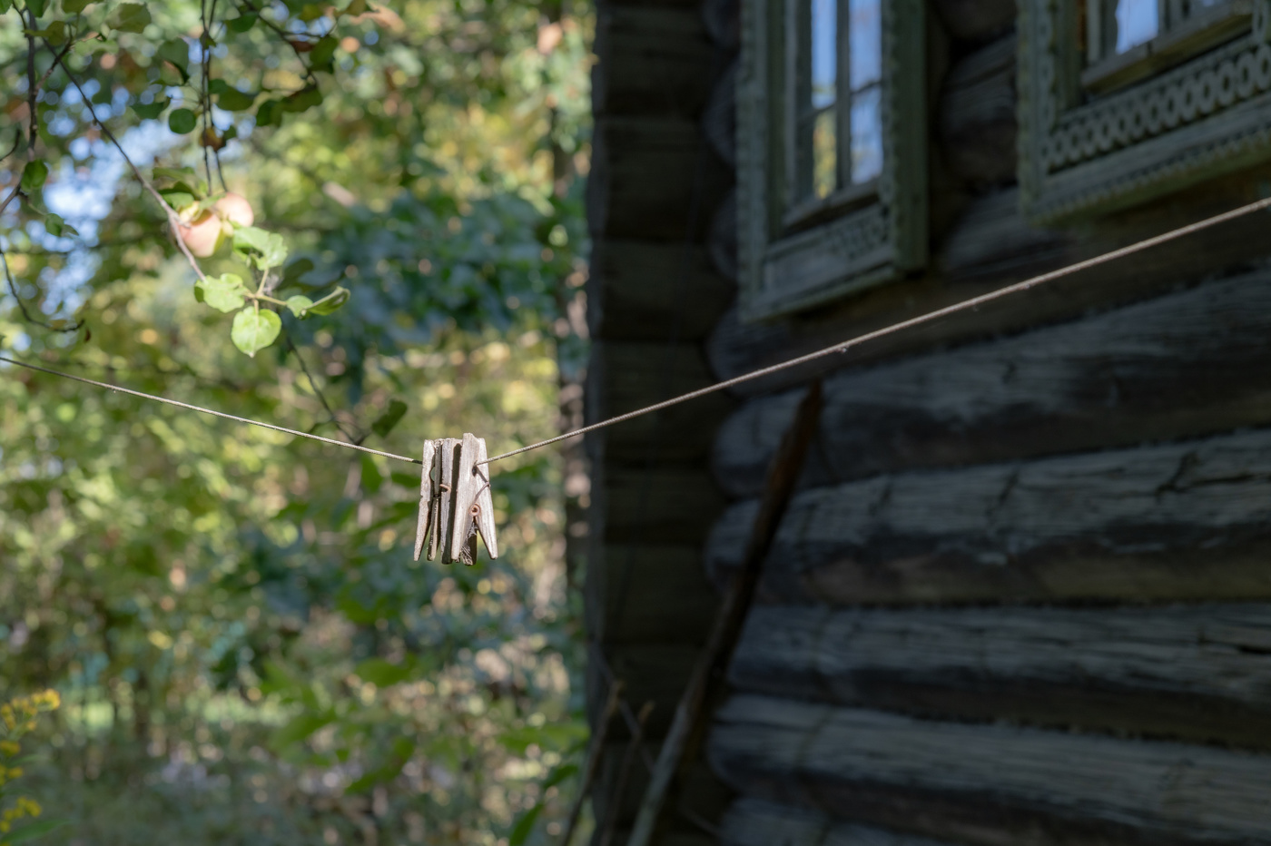 Деревенский этюд