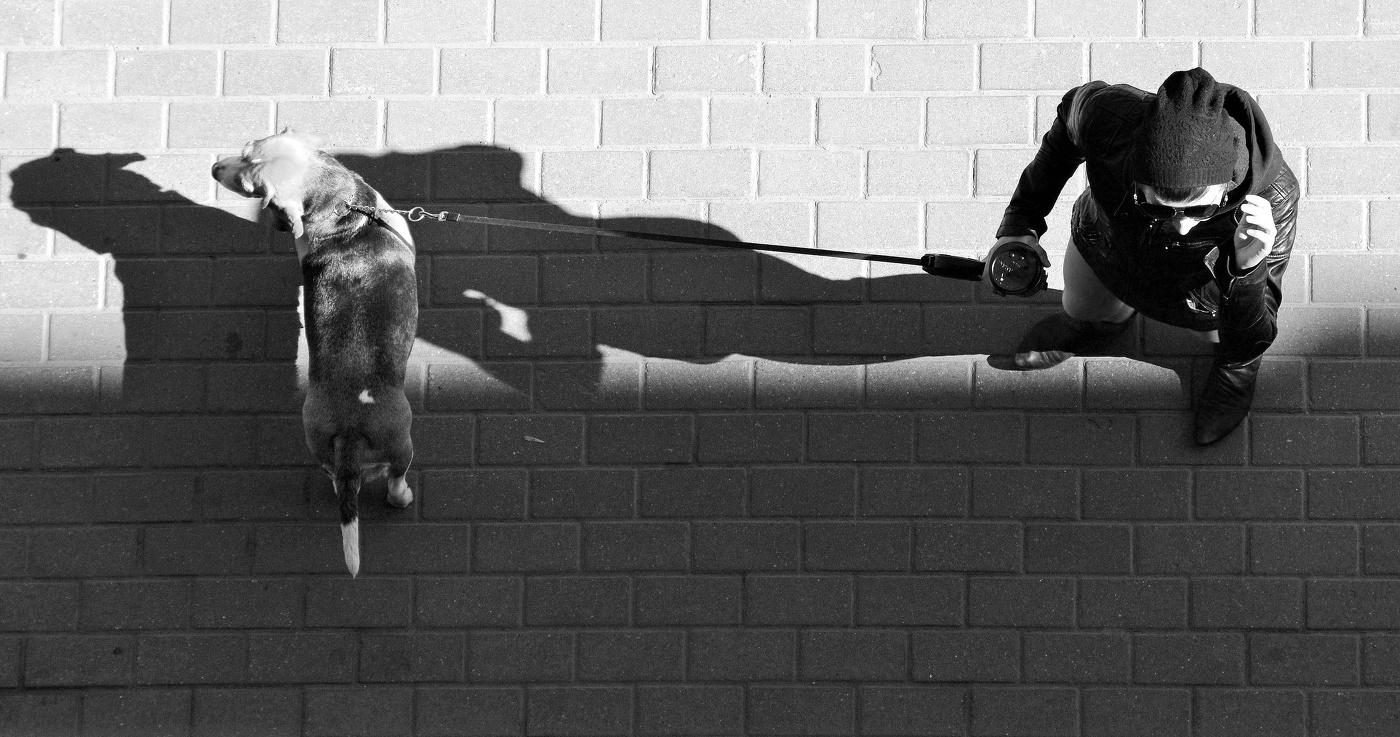 Разные интересы ...