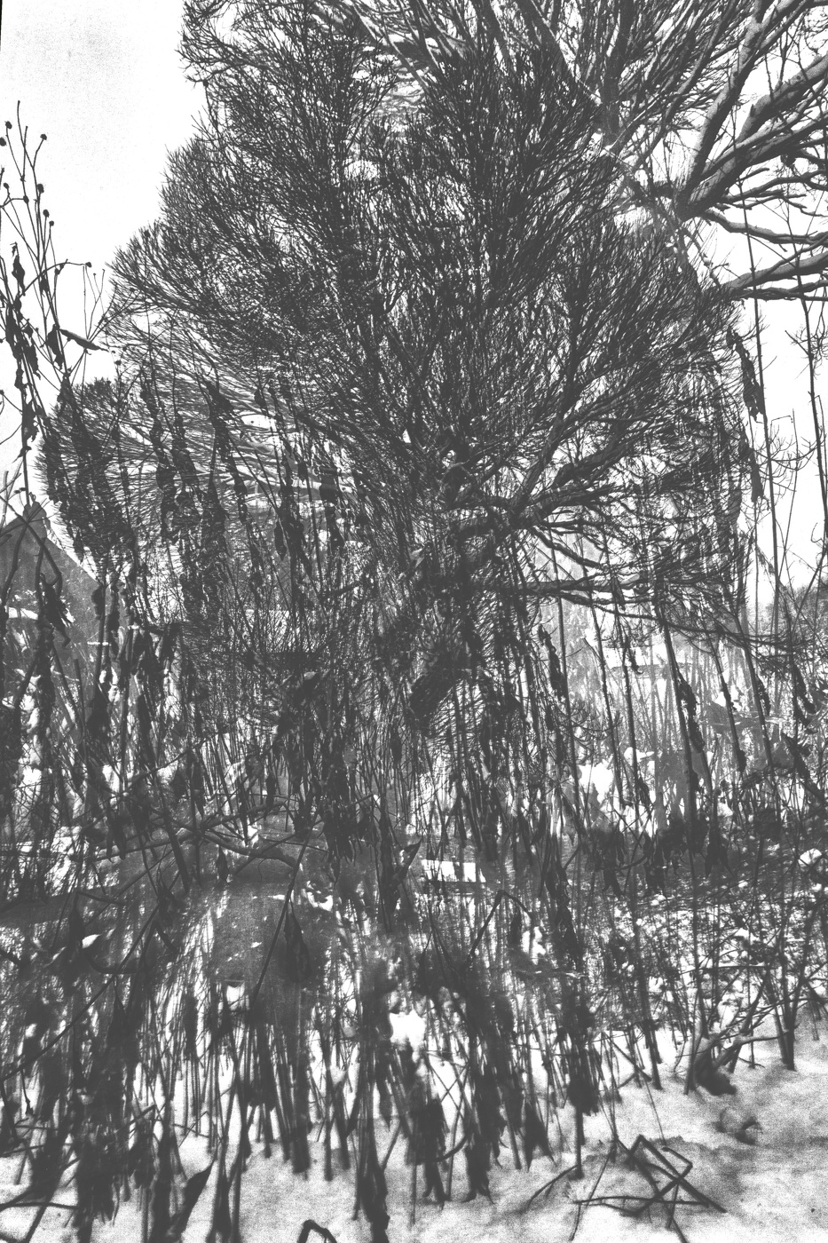 Жизнь вокруг