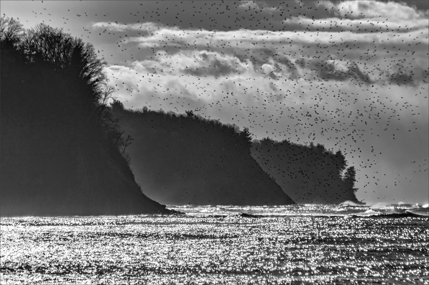 птицы над морем...