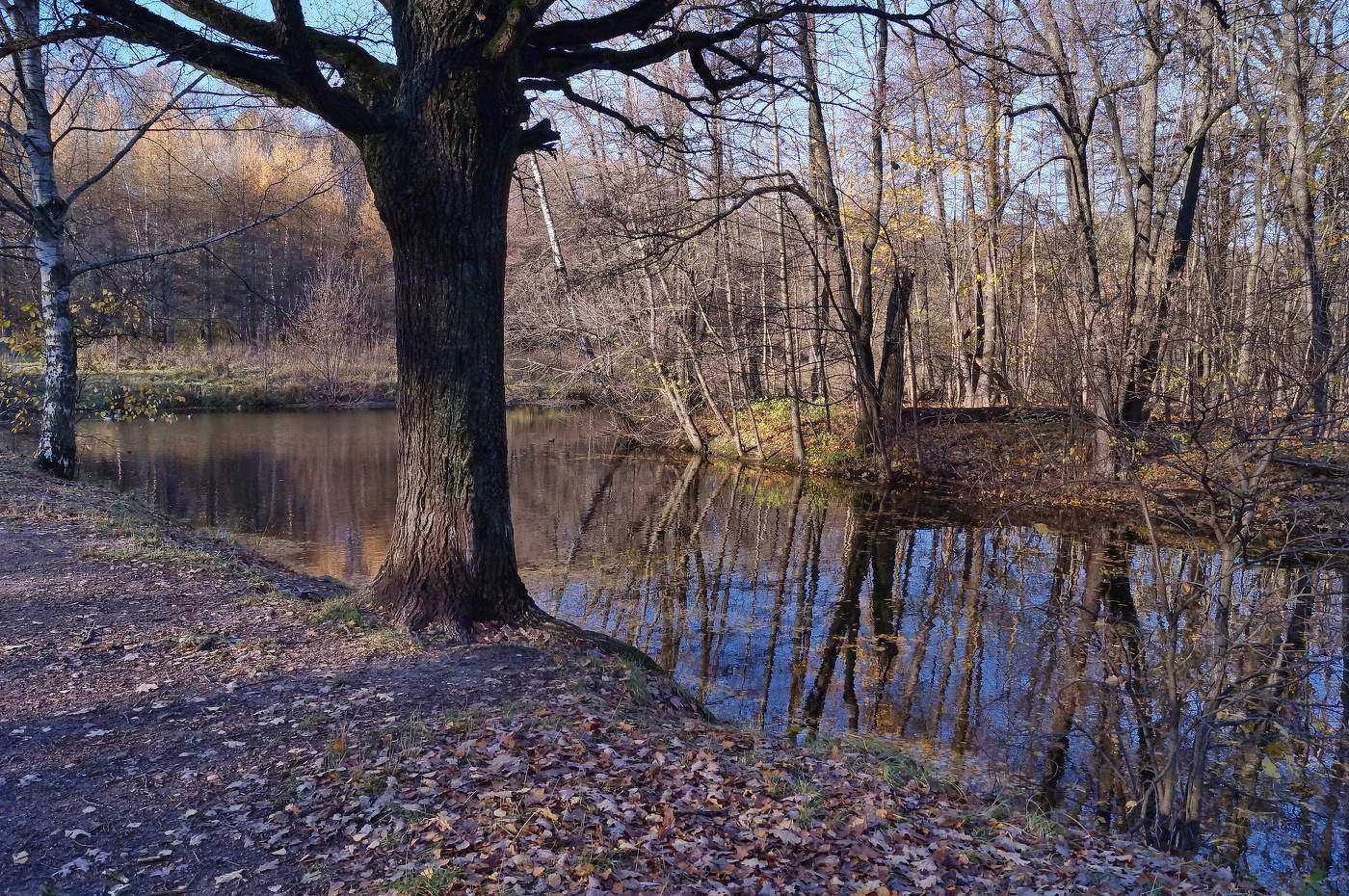 Осенний сюжет