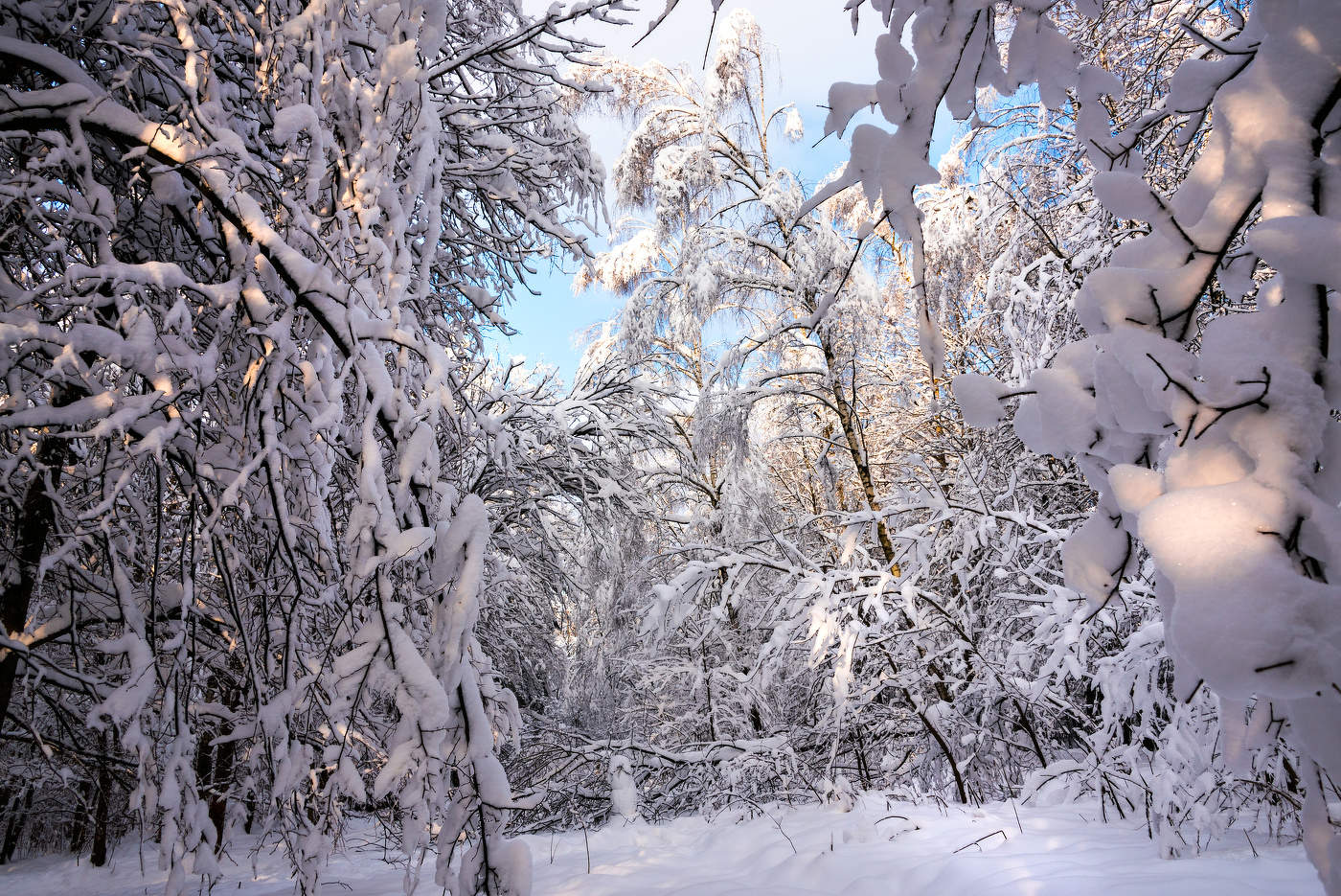 Зимушка-зима!