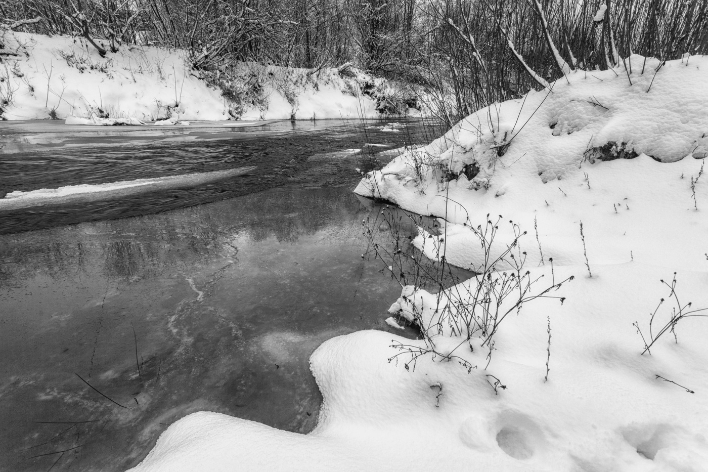 Жизнь вокруг