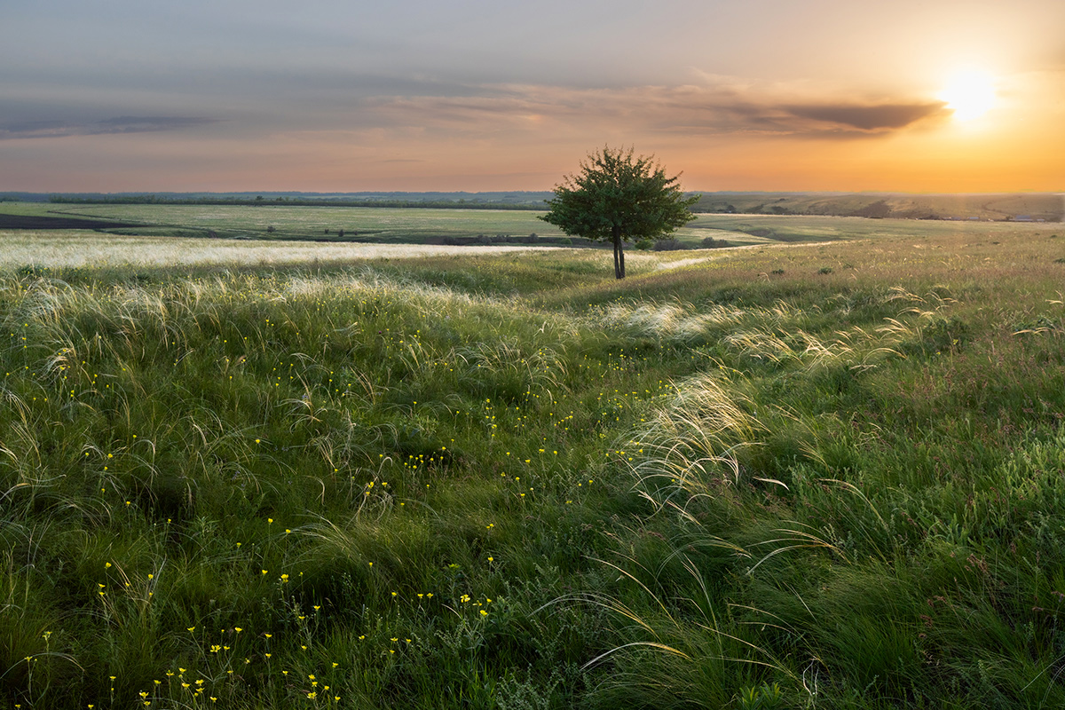 Степные картинки