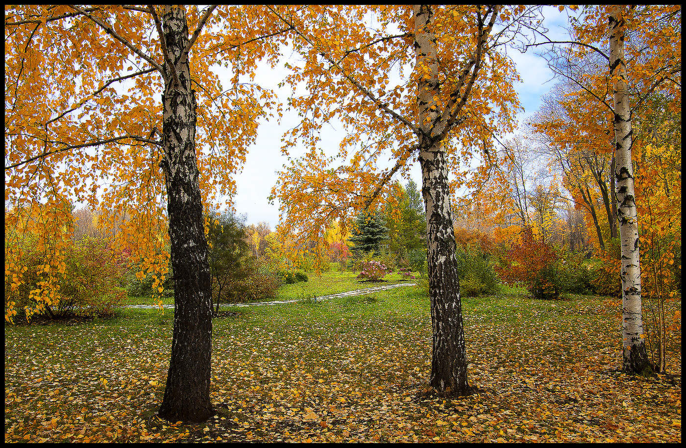 Осенние зарисовки