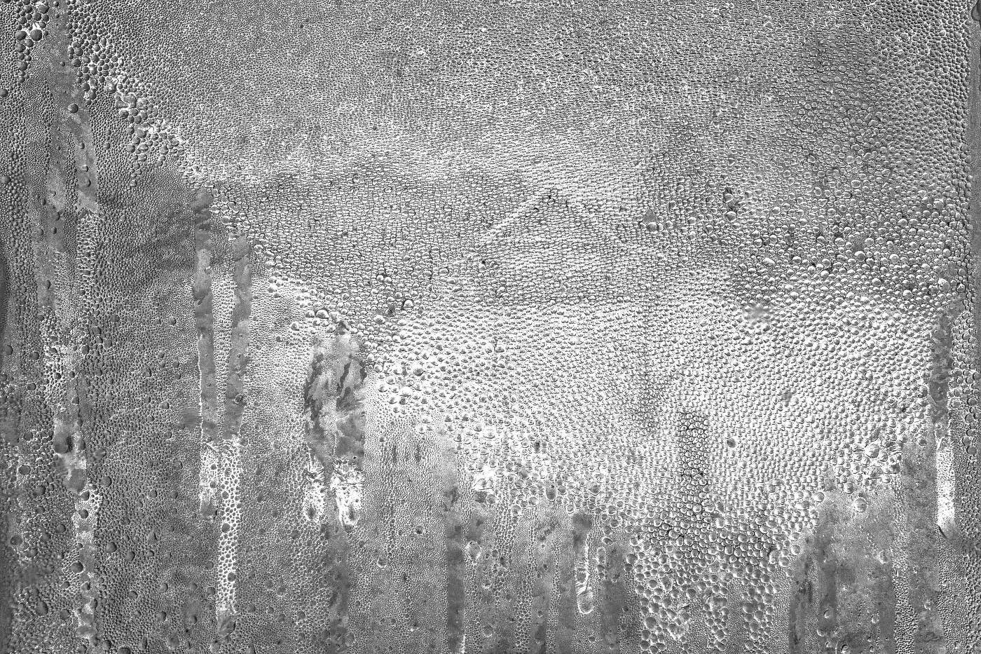 Жизнь вокруг