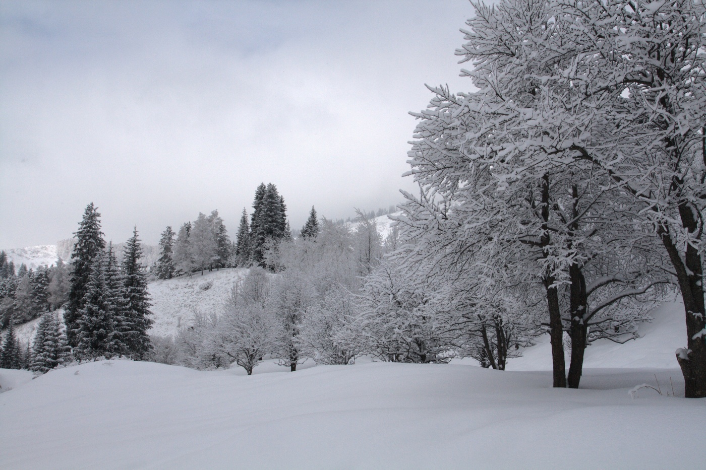 Была зима ...