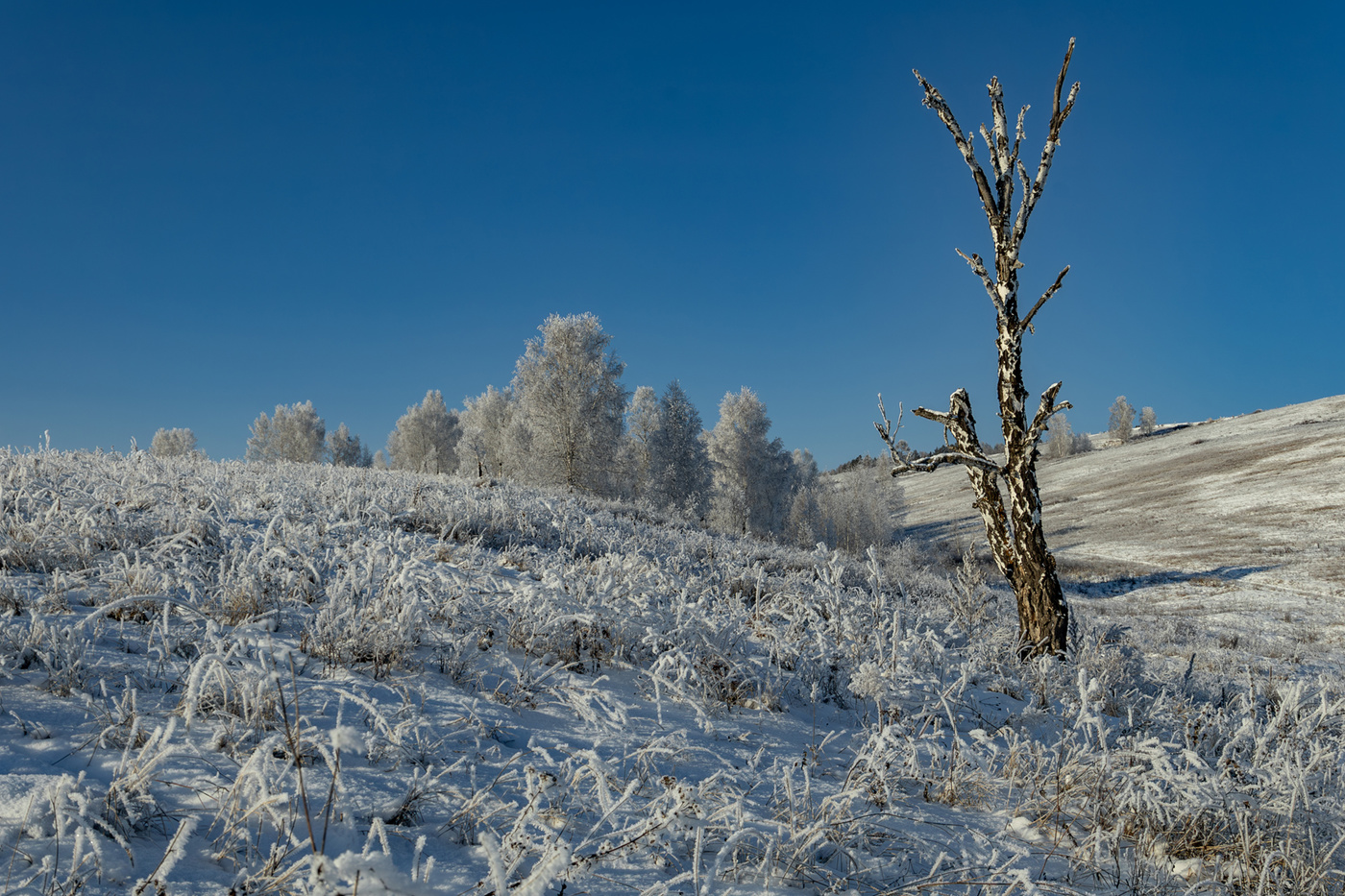 Жизнь прожить ....