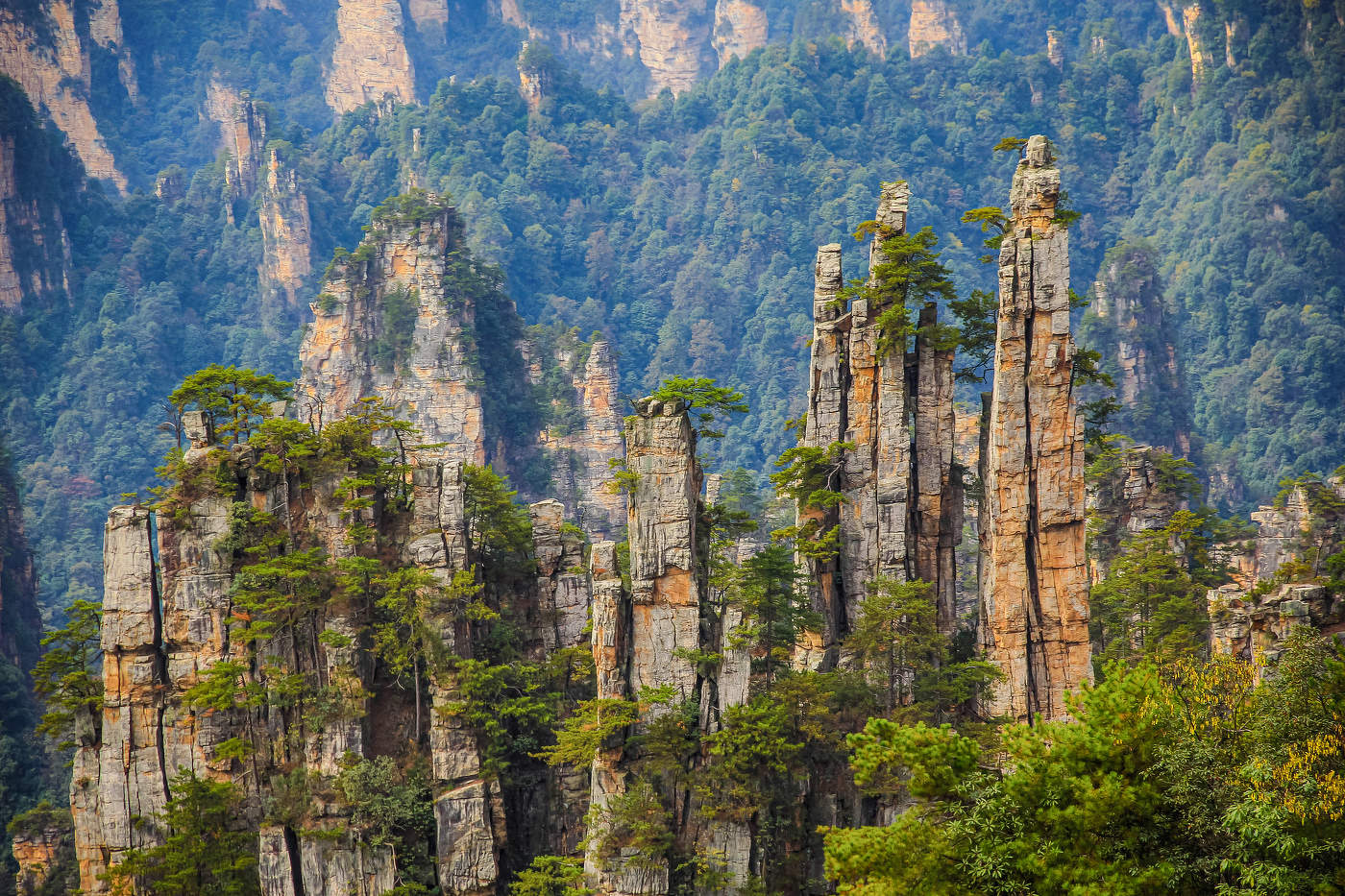 В горах Аватар