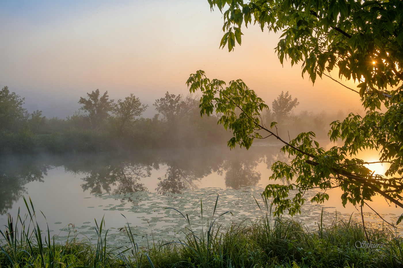 Тихое летнее утро.