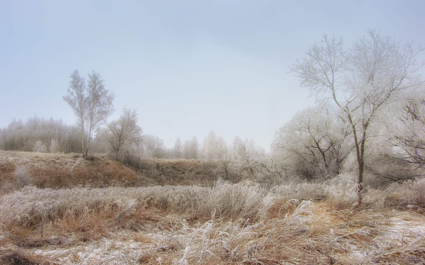 Нежность в ноябре