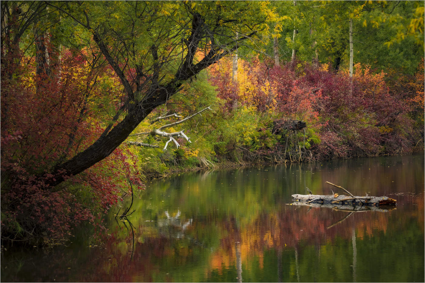 Осенняя пора