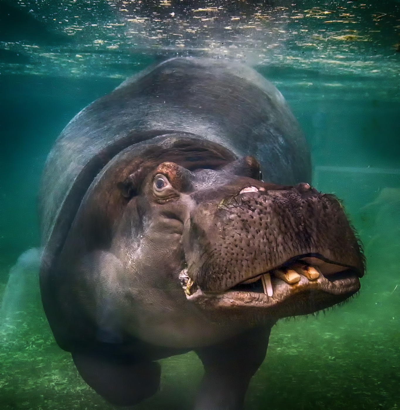 На фотосессии