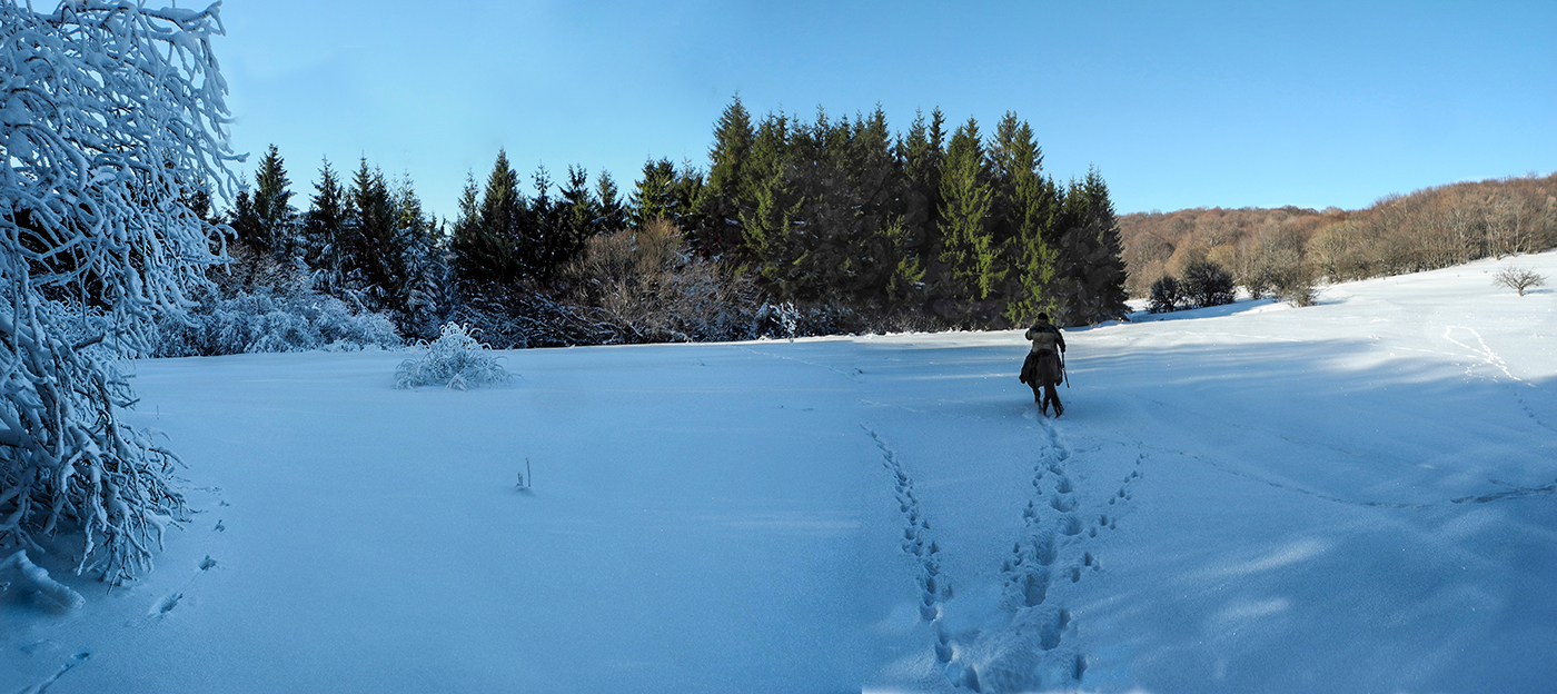 Зимние виды
