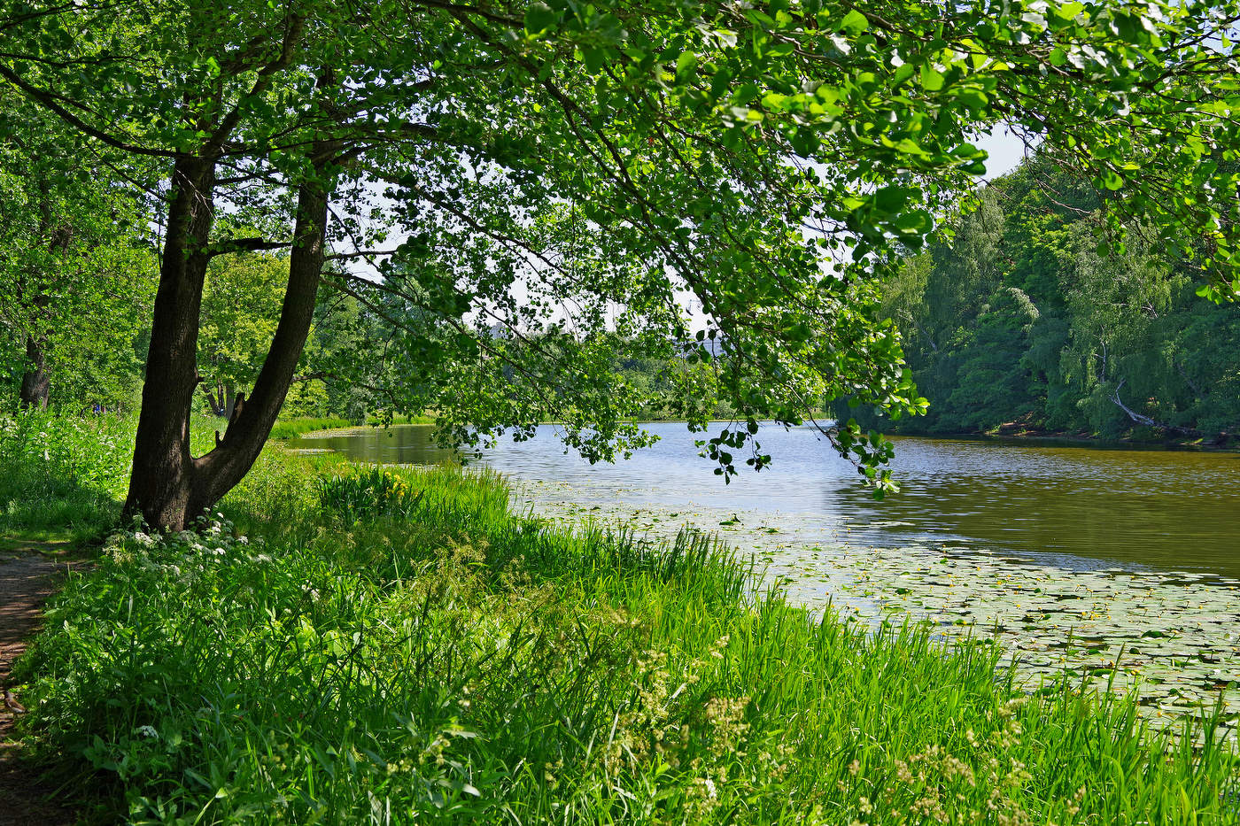 Верхний Кузьминский пруд