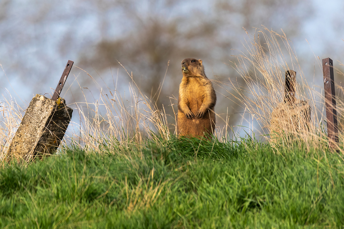 Опорный пункт