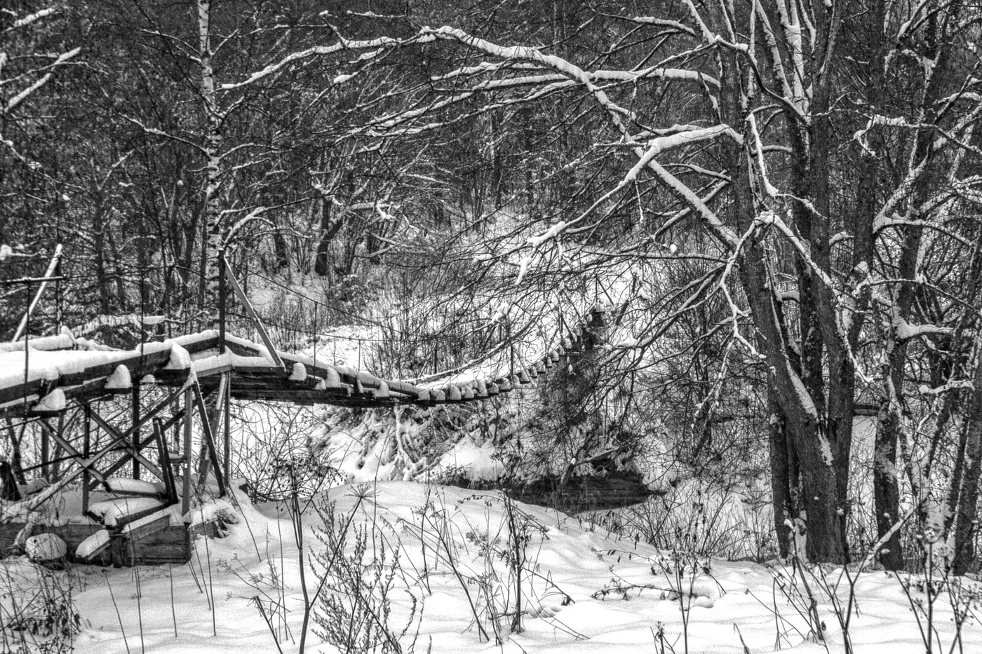 Жизнь вокруг