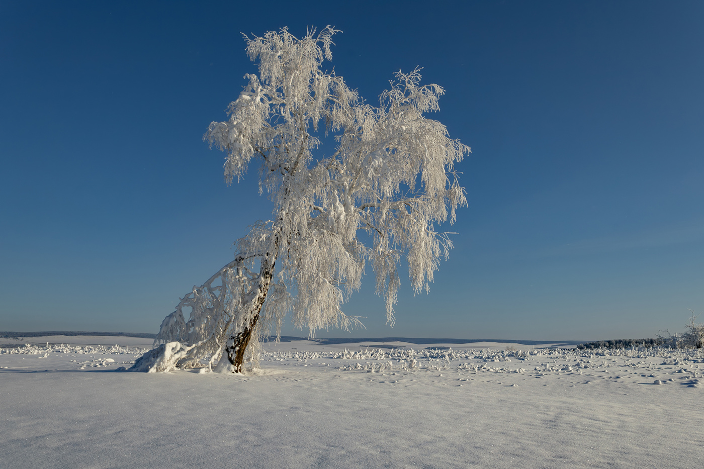 Предновогодний букет