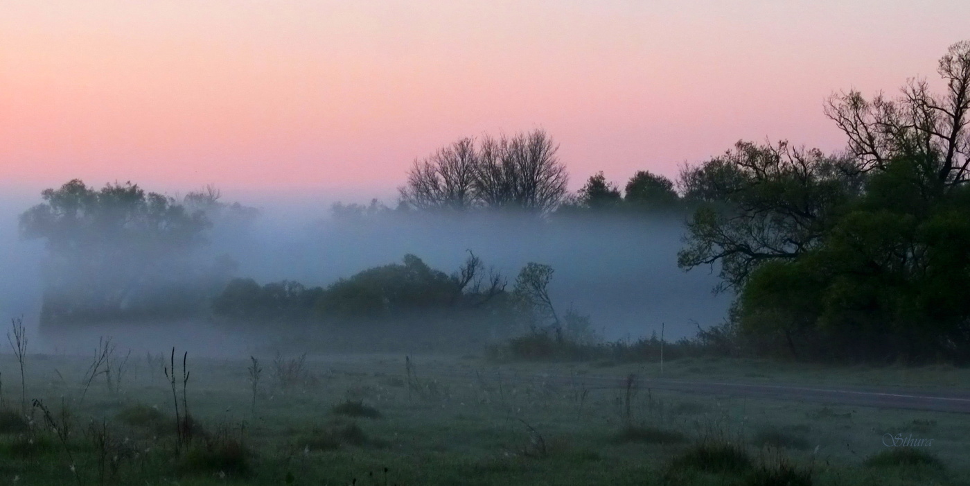 Природа в мае.