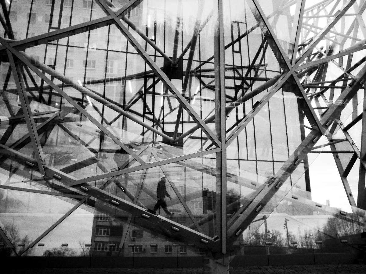 белка в колесе