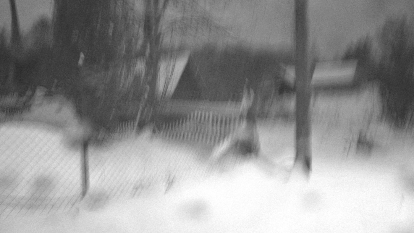 Жизнь вокруг