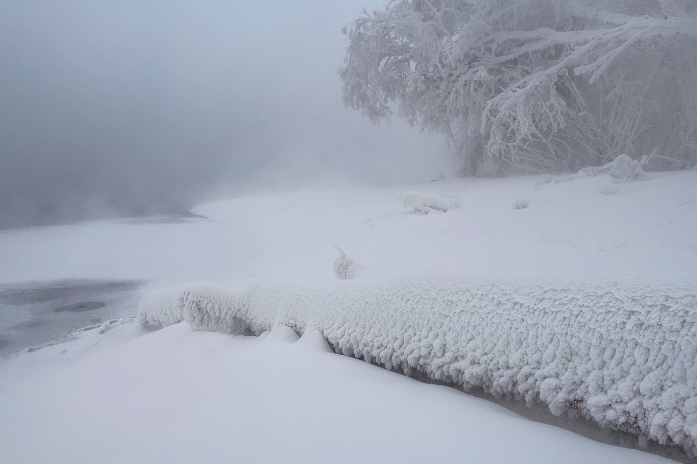 Приморозило