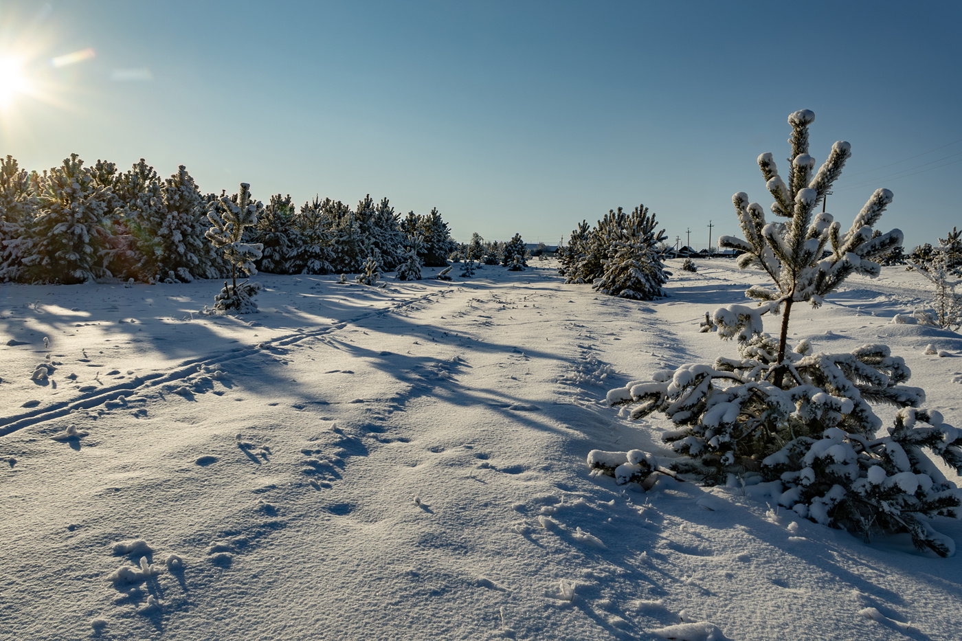 Ярким утром