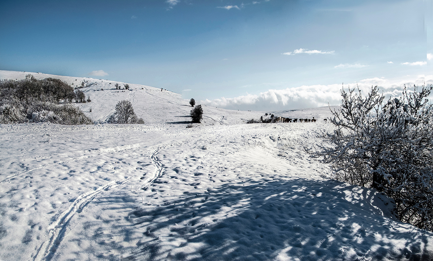 Ослепительная белизна