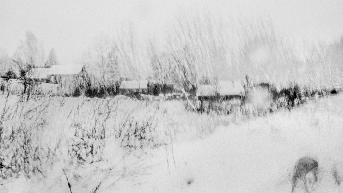 Жизнь вокруг